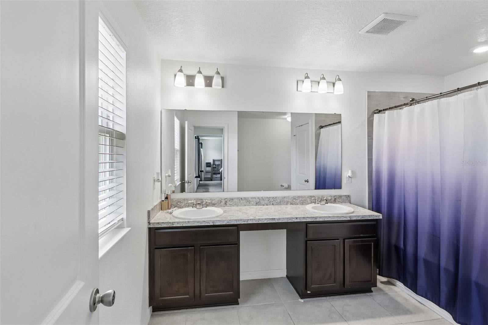 Primary en-suite bath. - 2082 FICUS ST, MASCOTTE