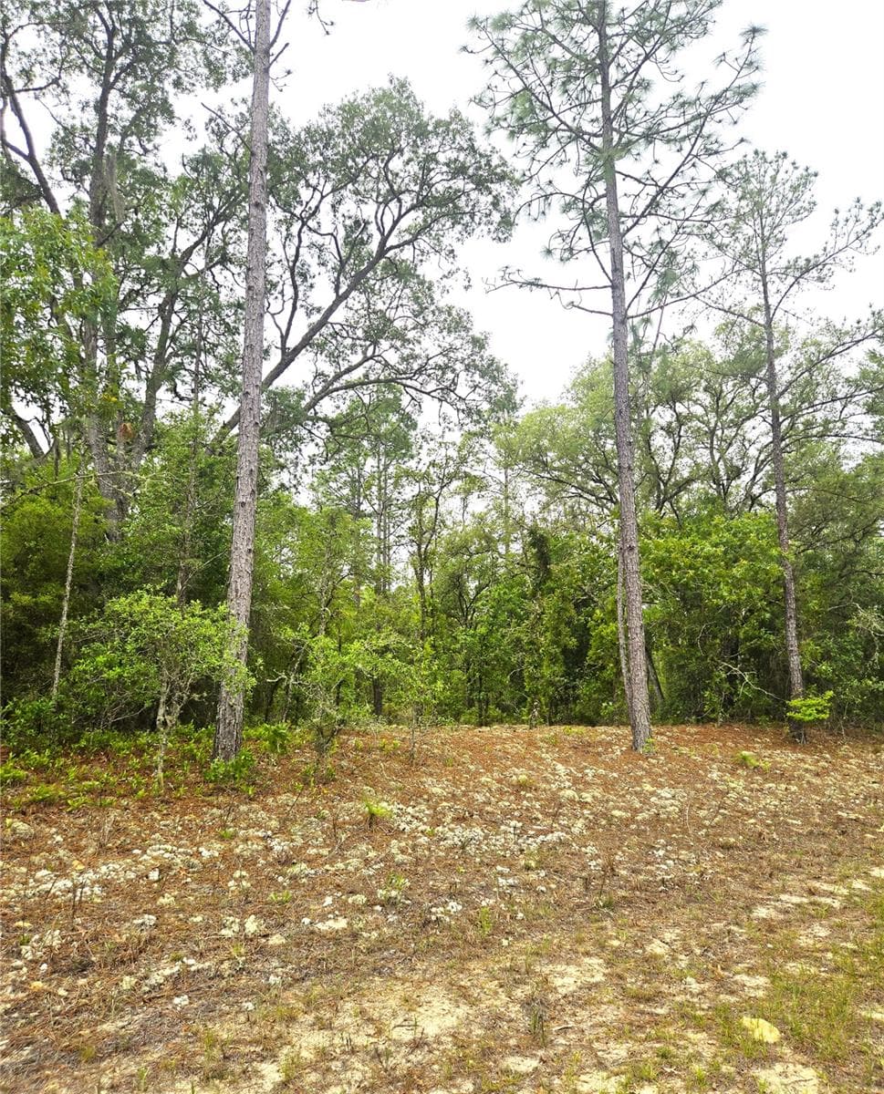 Land at 576 E NEMO DR, DUNNELLON, photo 2 of 8
