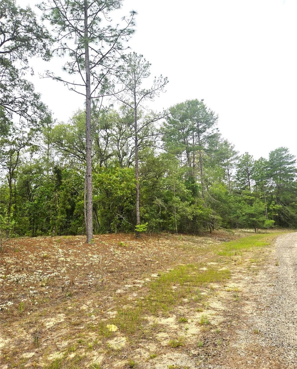 Land at 576 E NEMO DR, DUNNELLON, photo 3 of 8