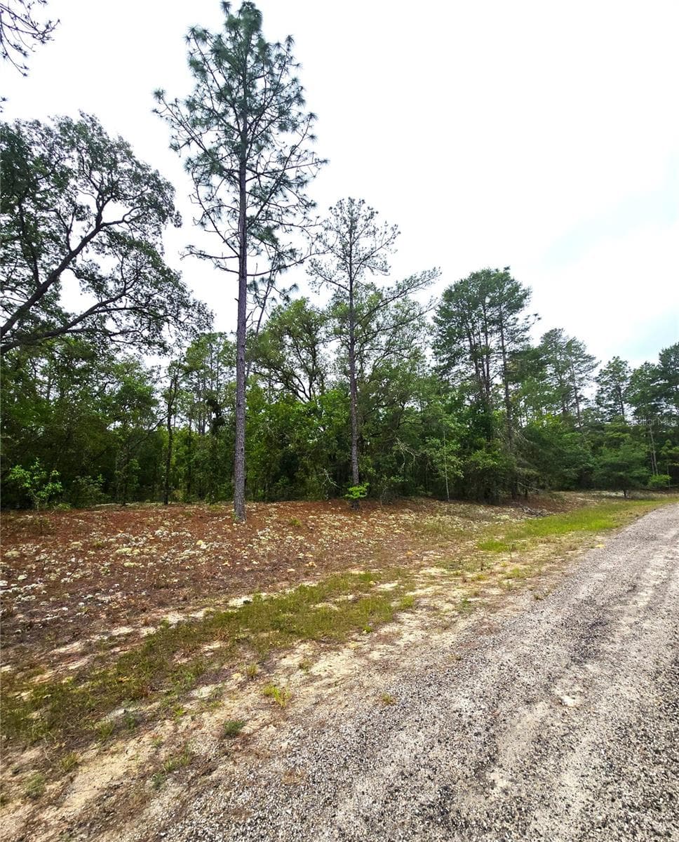 Land at 576 E NEMO DR, DUNNELLON, photo 5 of 8