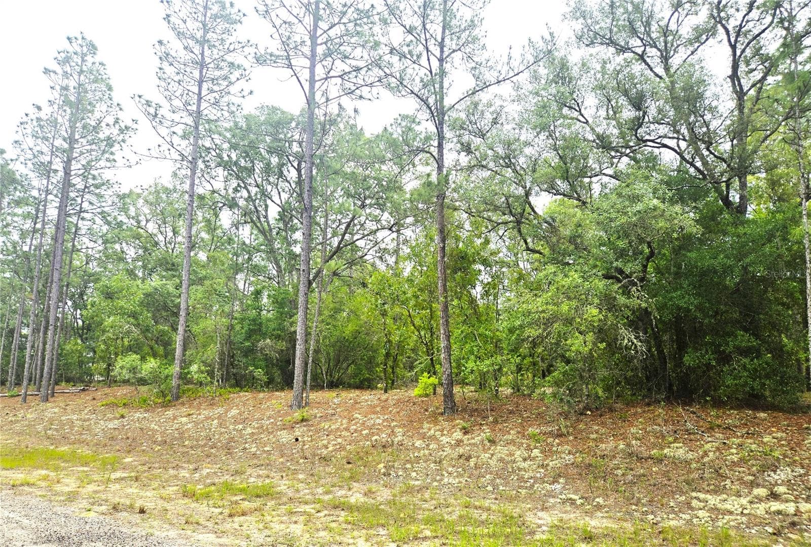 Land at 576 E NEMO DR, DUNNELLON, photo 6 of 8