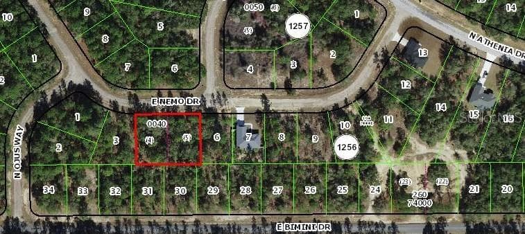 Land at 576 E NEMO DR, DUNNELLON, photo 7 of 8