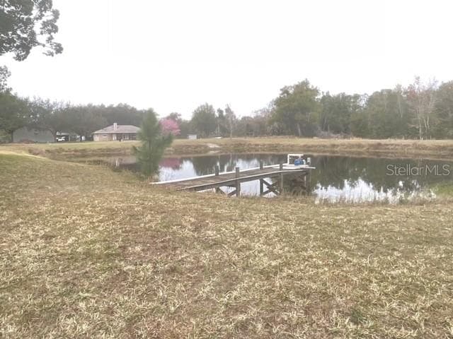 Stocked Fish Pond & dock - 32420 COUNTY ROAD 473, LEESBURG
