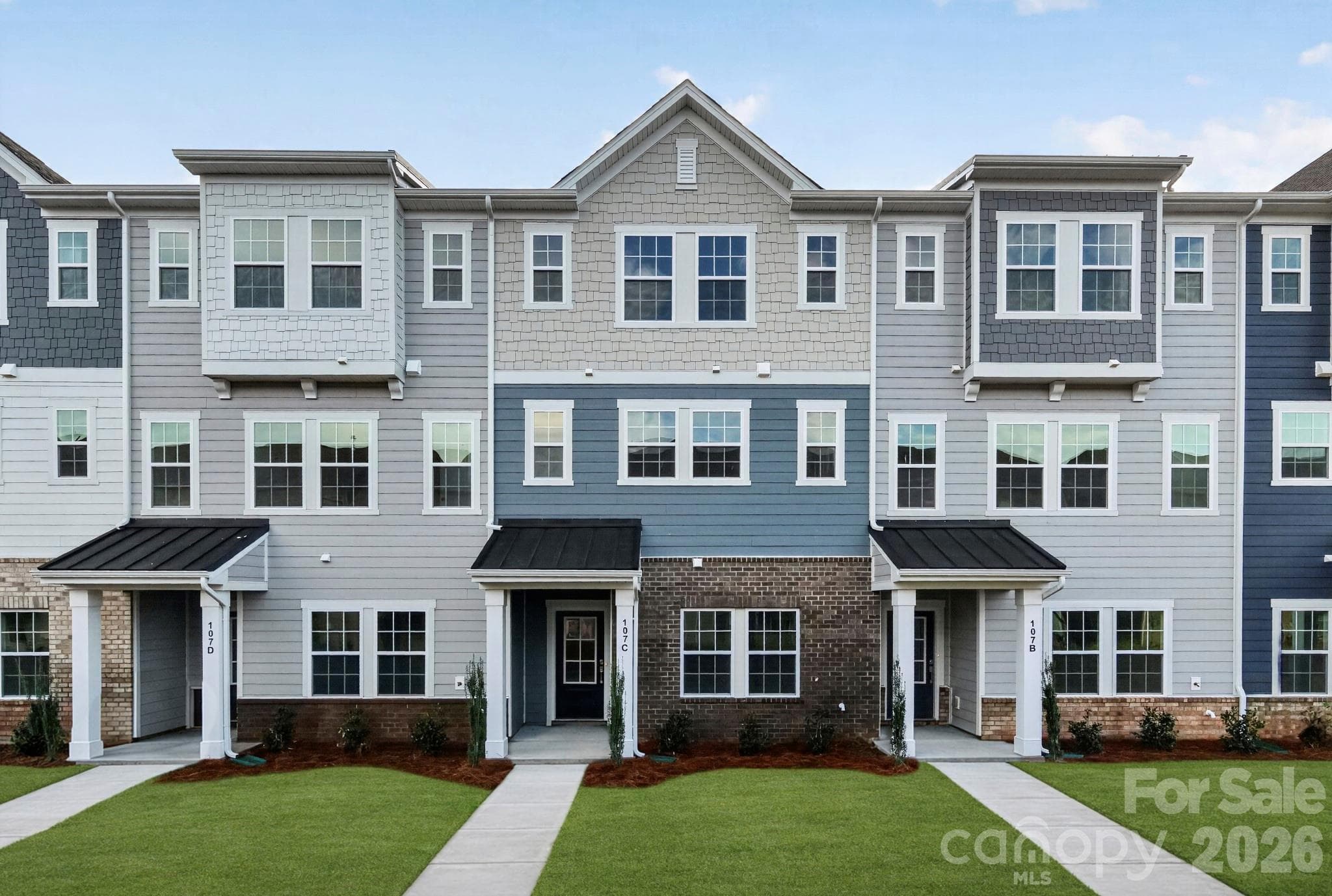 Gorgeous exterior designs and colors - 107 Nablus Trail, Mooresville