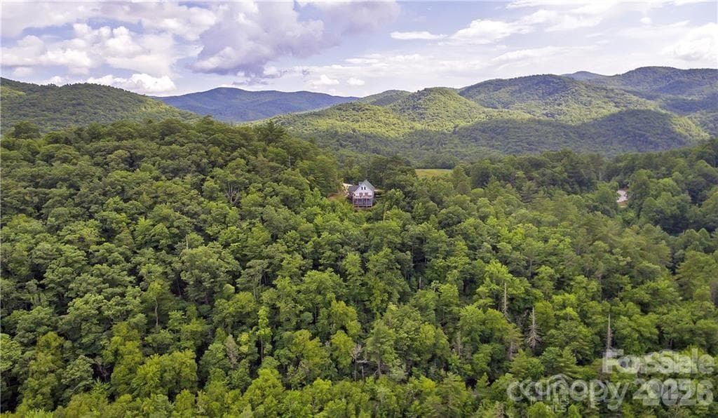 Drone Overview - 612 Old Home Place Road, Tuckasegee