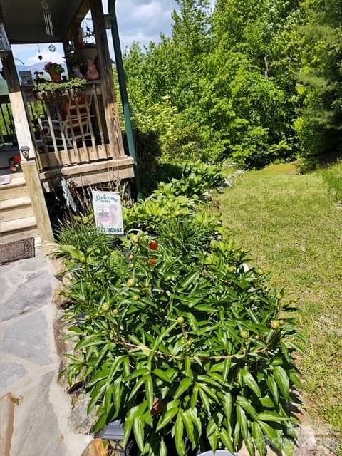 Landscaping - 612 Old Home Place Road, Tuckasegee