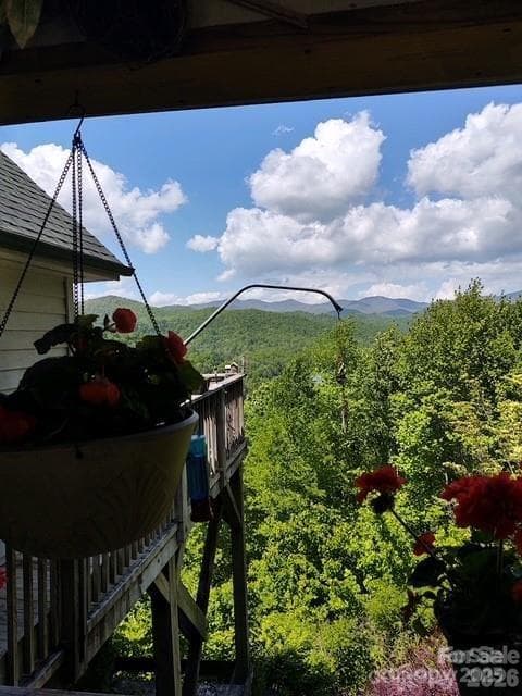 Views from the Front Porch - 612 Old Home Place Road, Tuckasegee