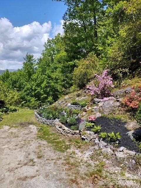 Multiple Flowering Plants - 612 Old Home Place Road, Tuckasegee