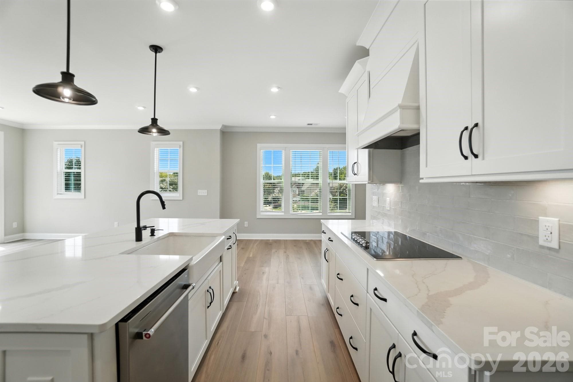 same floor plan with southern exposure on front of home - 12015 Lavinia Lane, Charlotte
