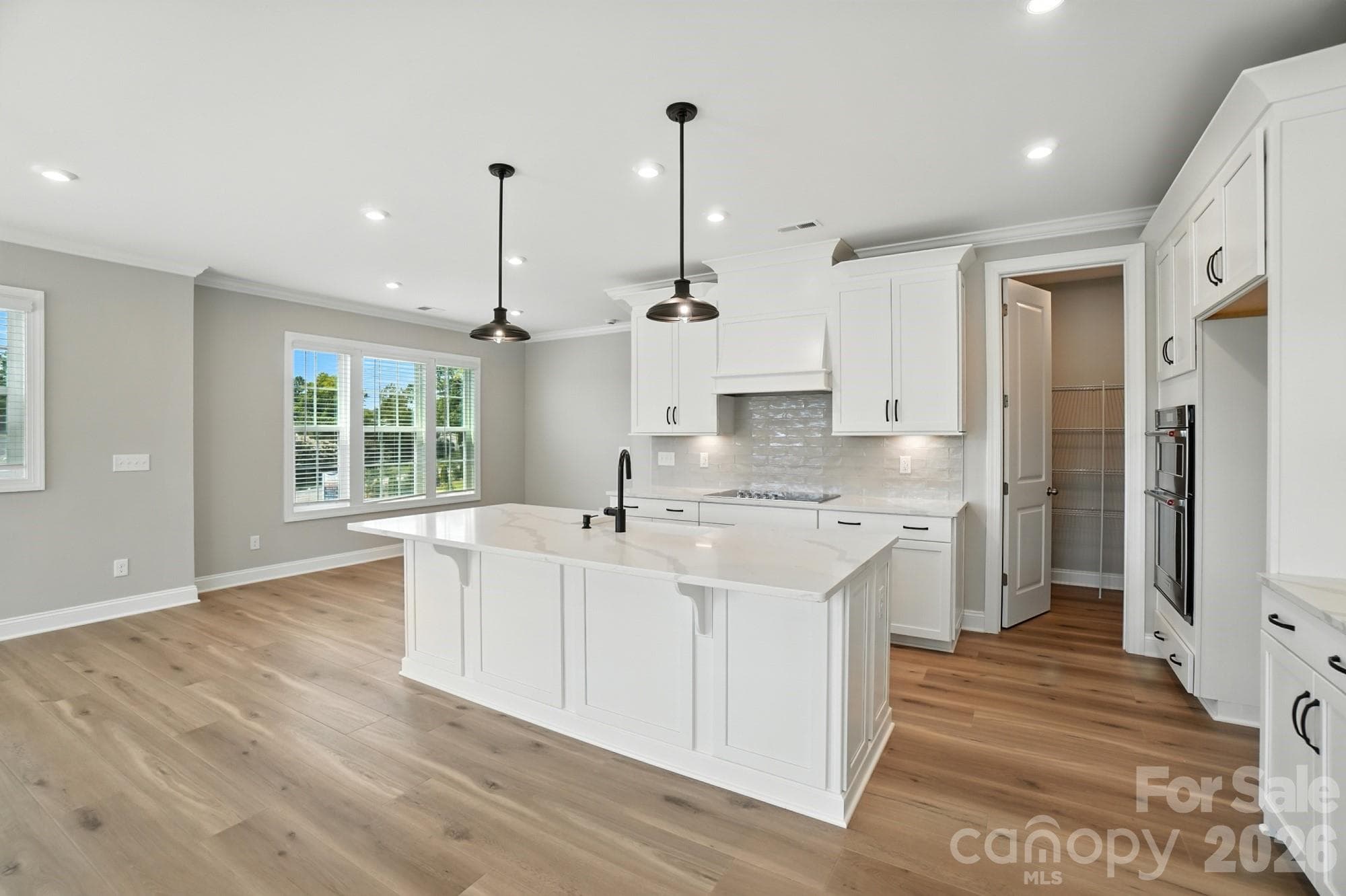 representation - actual home has the same options - 12015 Lavinia Lane, Charlotte