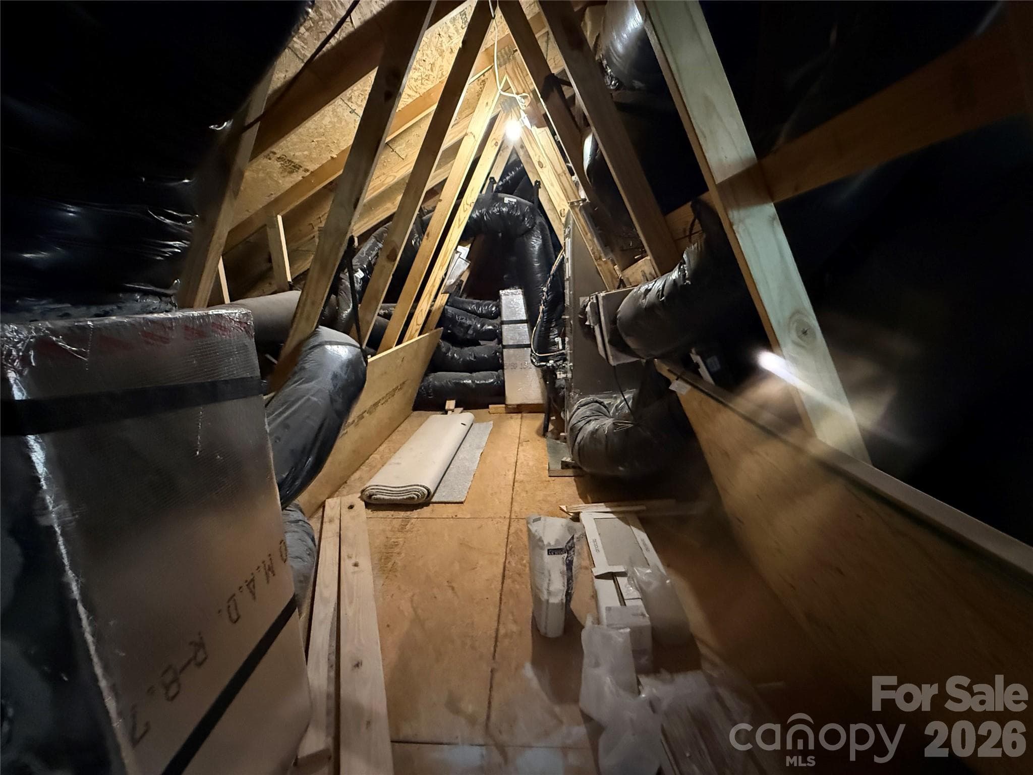 representation of walk in attic - 12015 Lavinia Lane, Charlotte