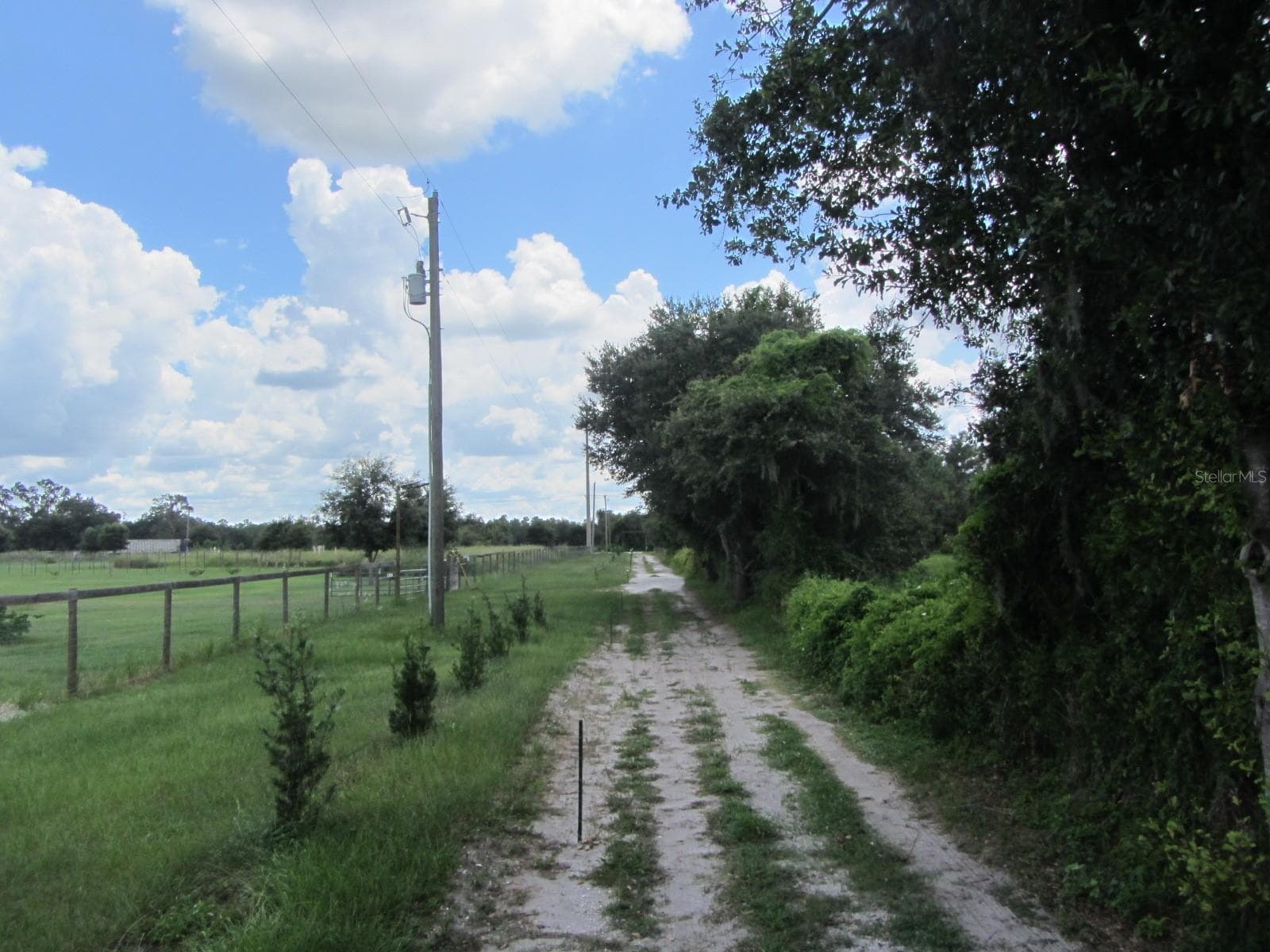 Single Family Residence at 46365 STATE ROAD 64 E, MYAKKA CITY, photo 29 of 56
