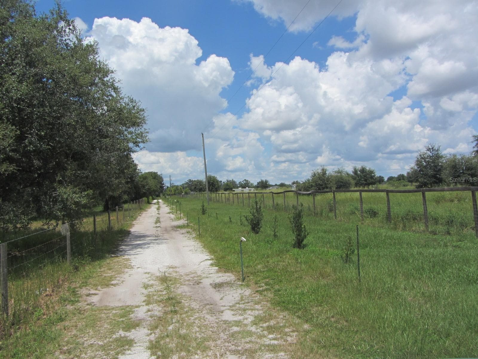 Single Family Residence at 46365 STATE ROAD 64 E, MYAKKA CITY, photo 45 of 56