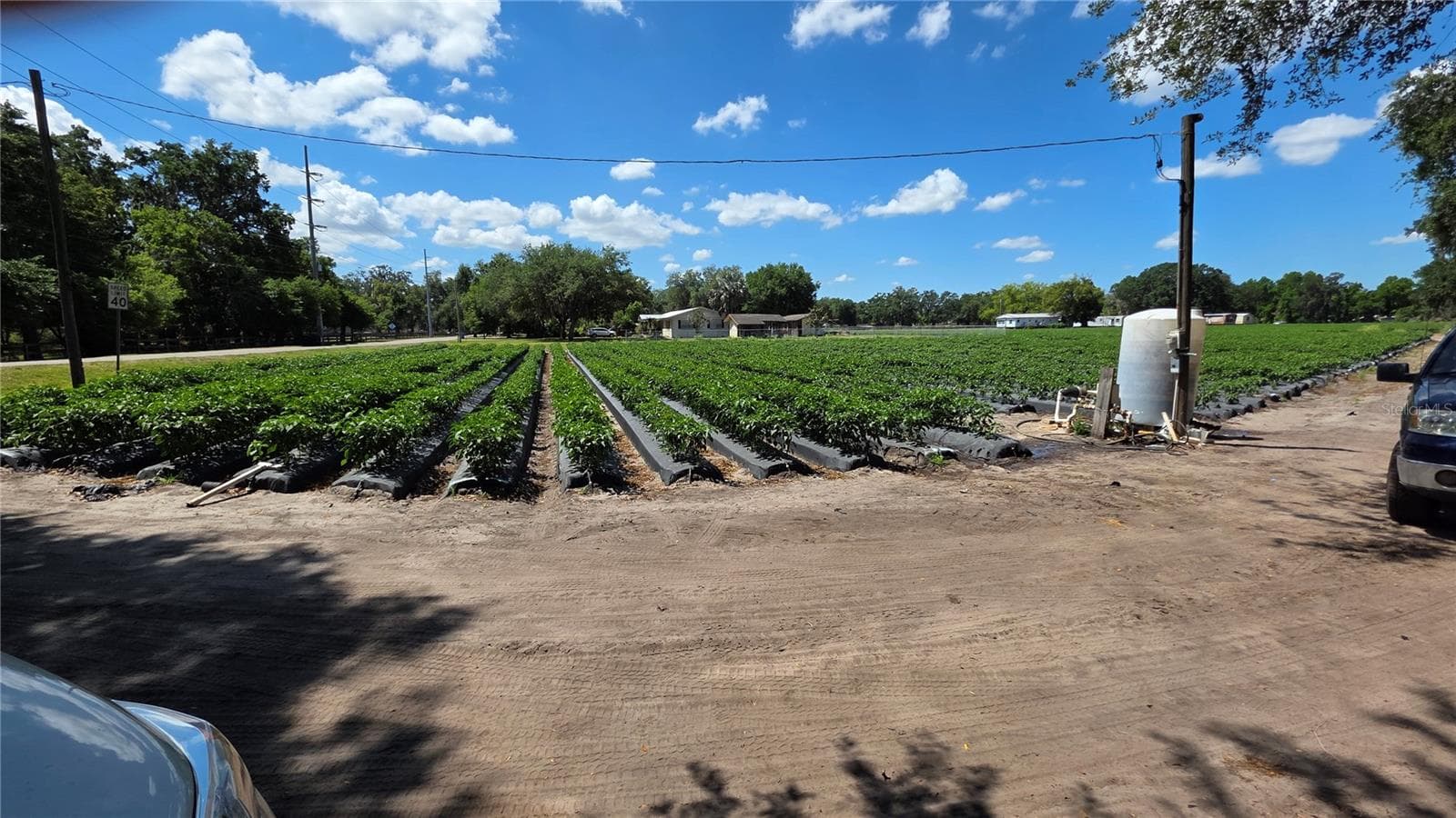 CURRENTLY AN INCOME-PRODUCING PROPERTY – HOLD WHILE YOU PLAN & BUILDRented out to Strawberry FarmersHas a Well & Electricity - GALLAGHER RD, DOVER