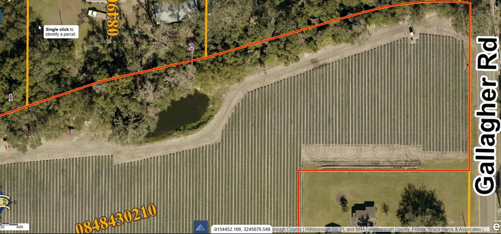 POND ON PROPERTY - GALLAGHER RD, DOVER