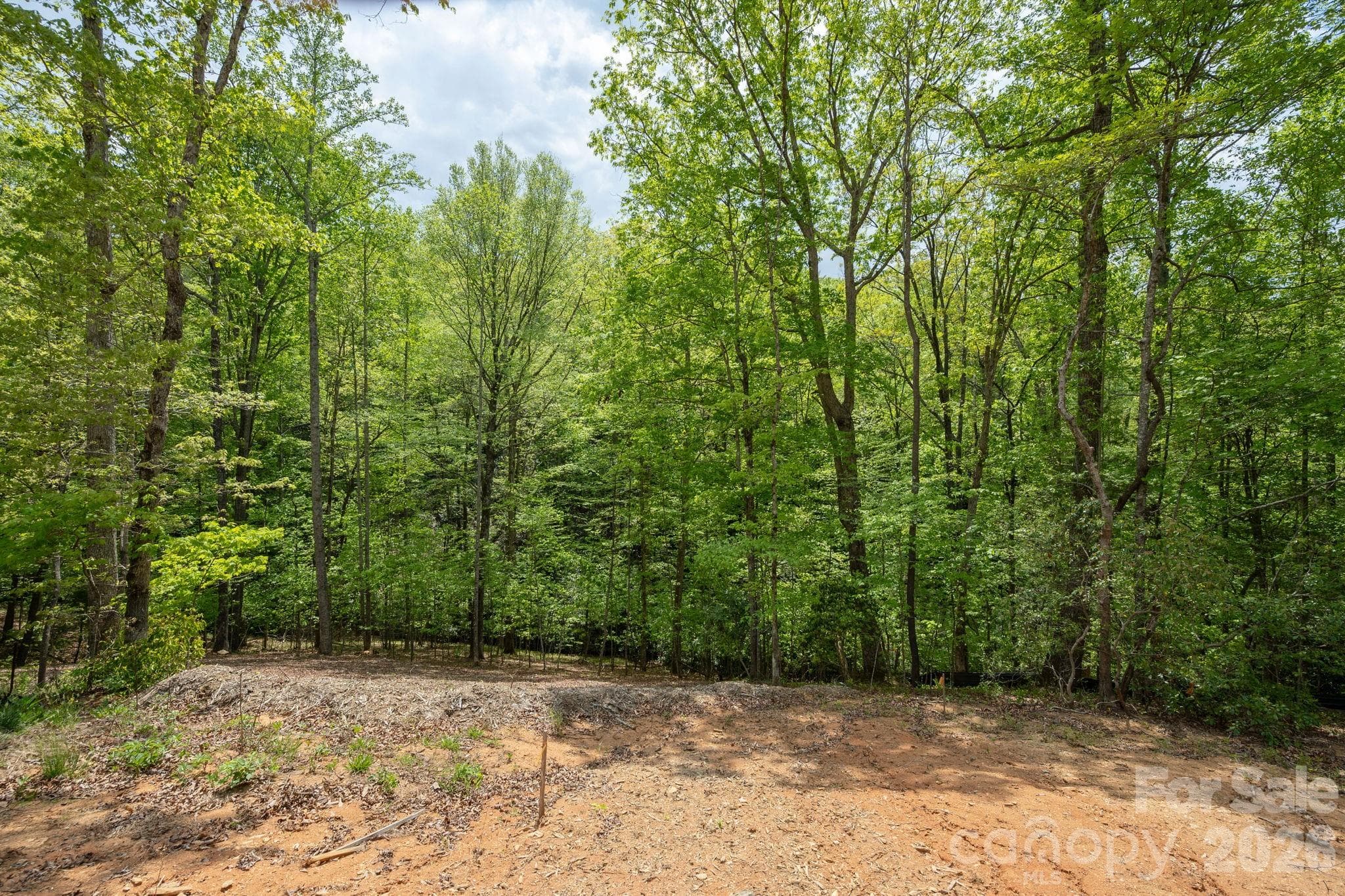 Lot at Hendersonville, photo 15 of 15