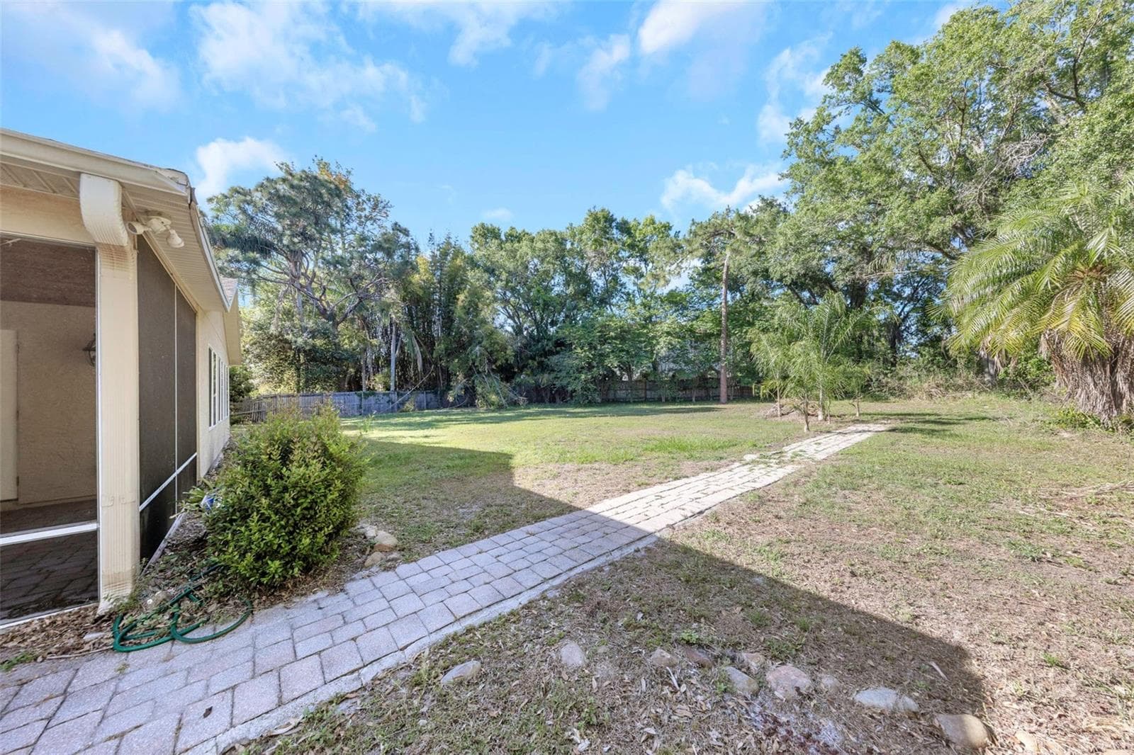 Rear Yard - 4101 WINDTREE DR, TAMPA