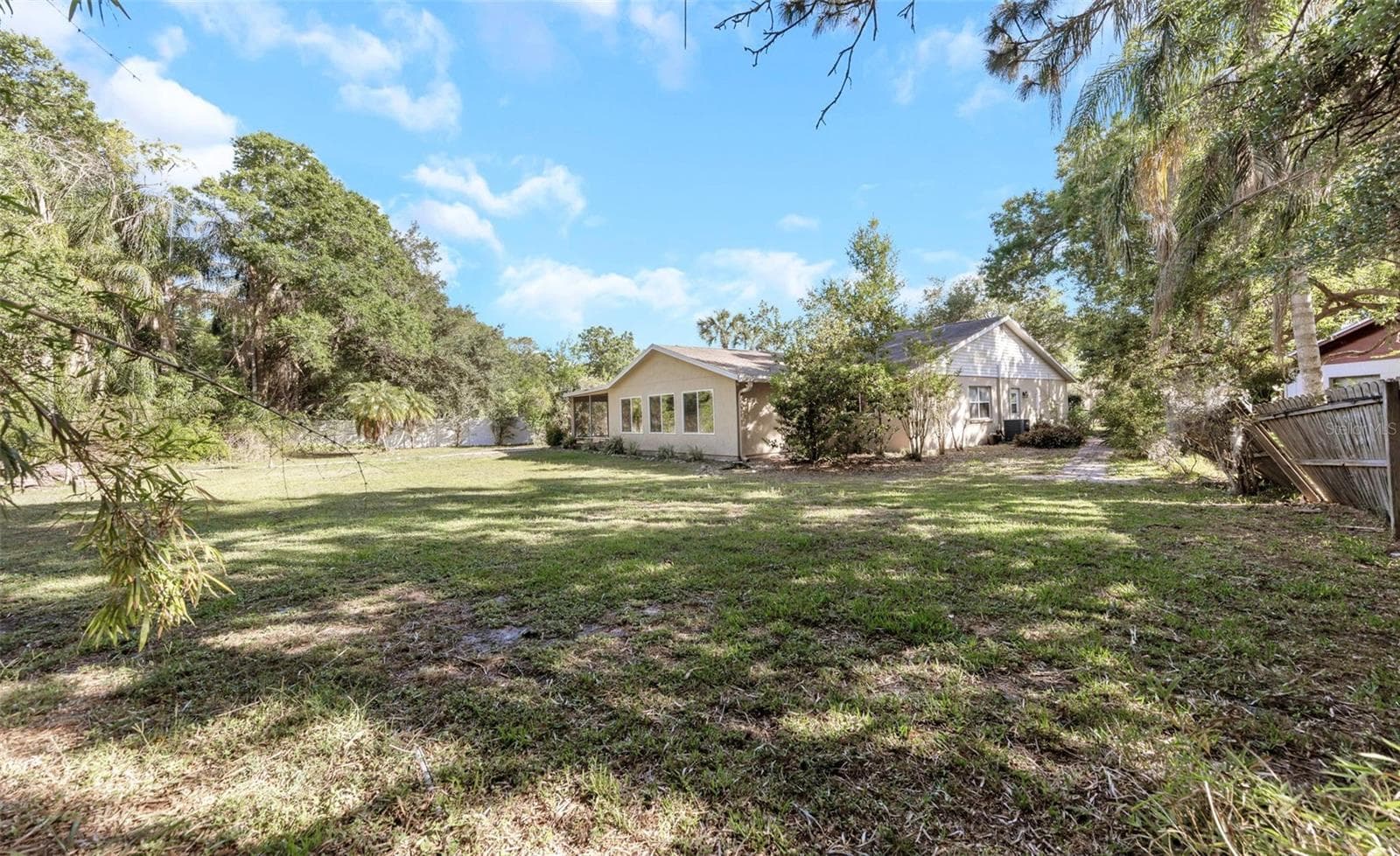 Rear Yard - Reverse View - 4101 WINDTREE DR, TAMPA