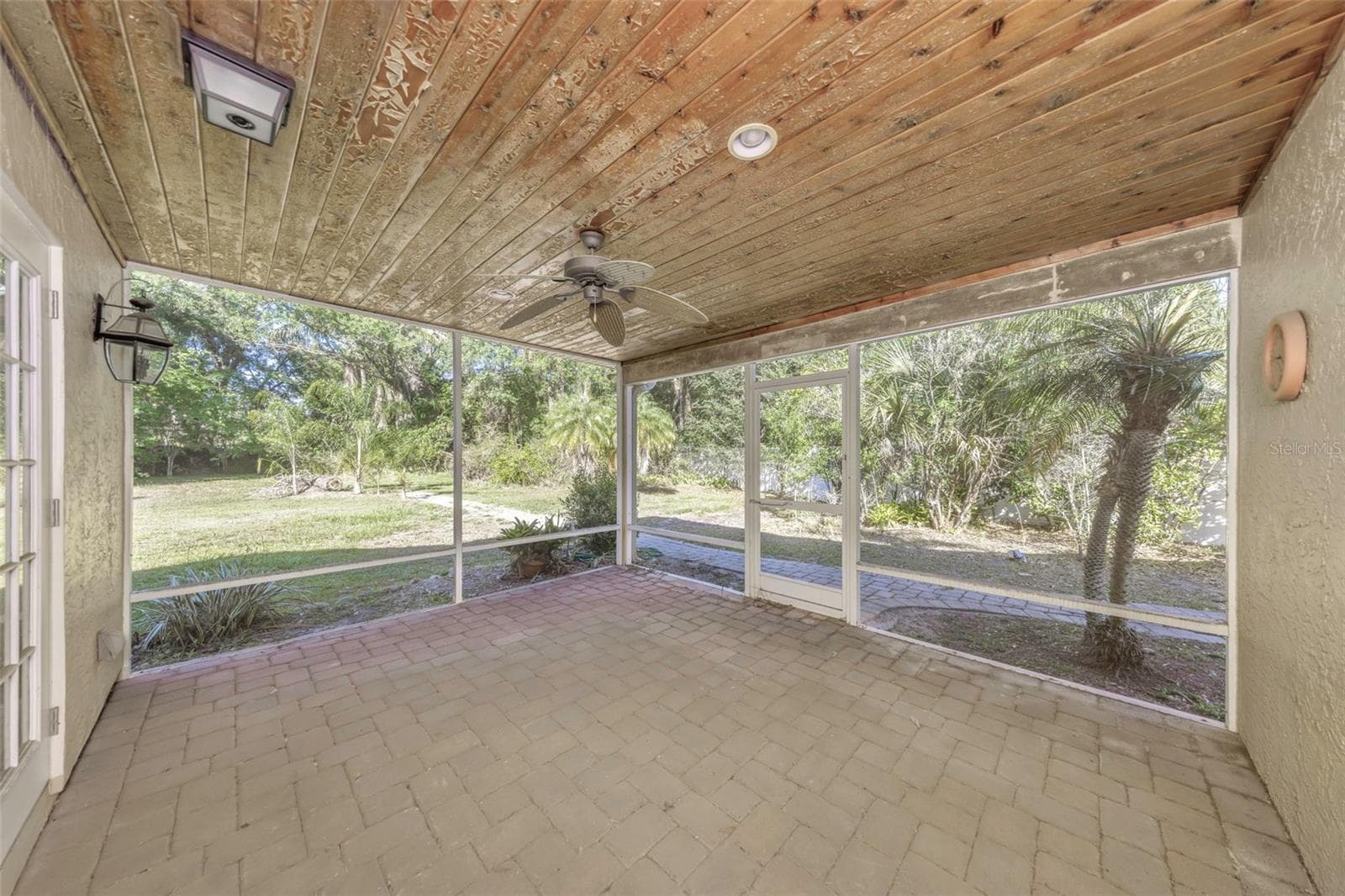Rear Patio - 4101 WINDTREE DR, TAMPA
