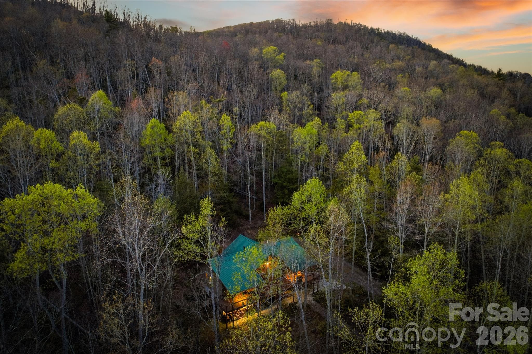 Single Family Residence at 163 Bear Track Lane, Vilas, photo 2 of 39