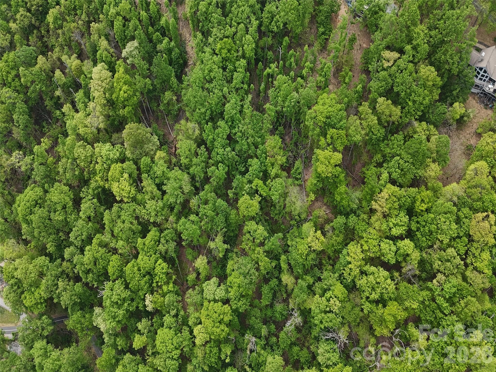 Lot at Lot #39 Poplar Drive, Mills River, photo 8 of 22