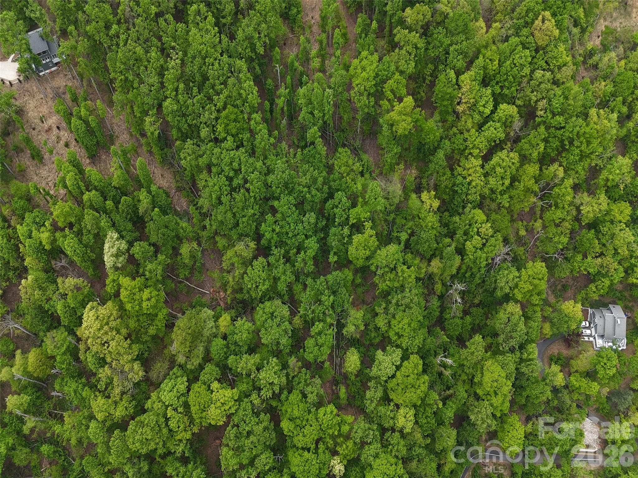 Lot at Lot #39 Poplar Drive, Mills River, photo 9 of 22