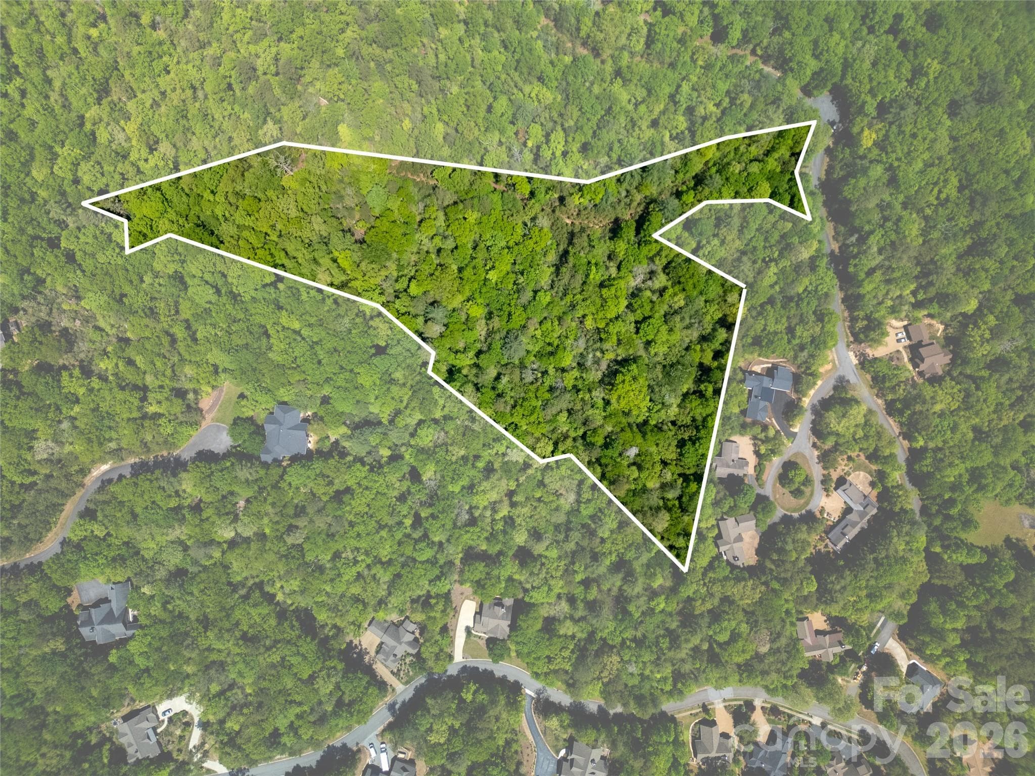 Lot at Brevard, photo 2 of 21