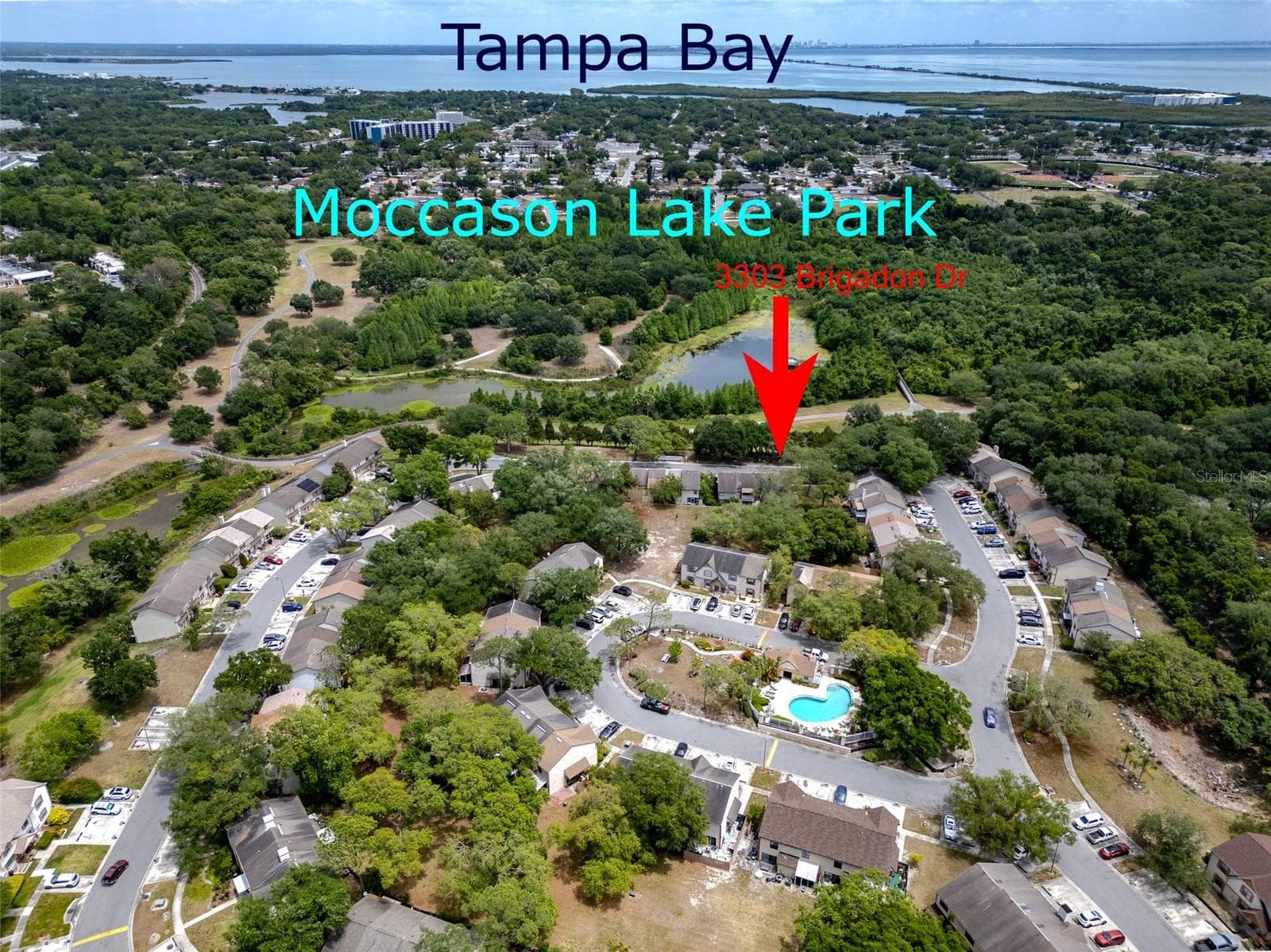 Townhouse at 3303 BRIGADOON DR, CLEARWATER, photo 45 of 47