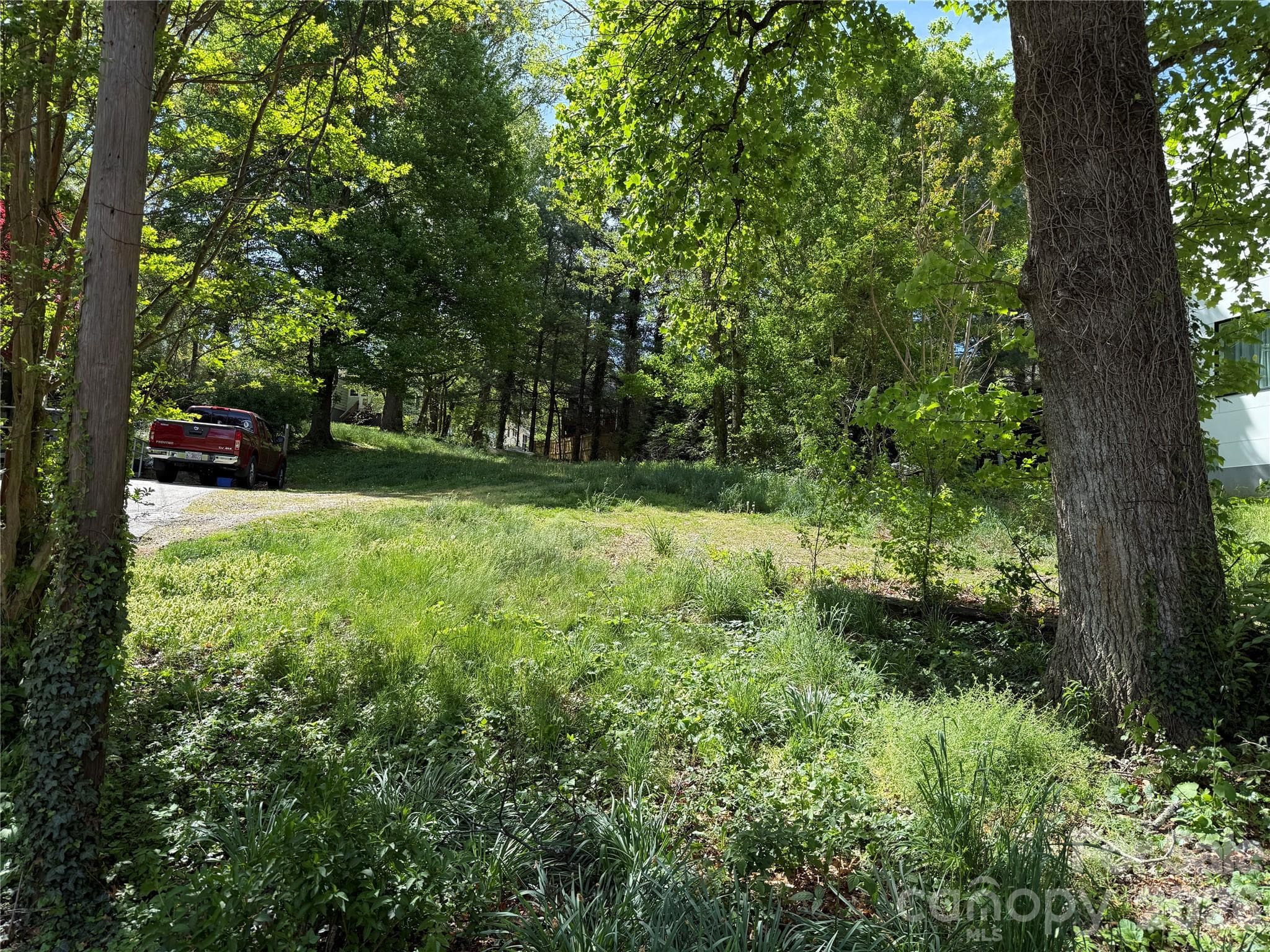 Mostly Cleared with Some Mature Trees - Asheville