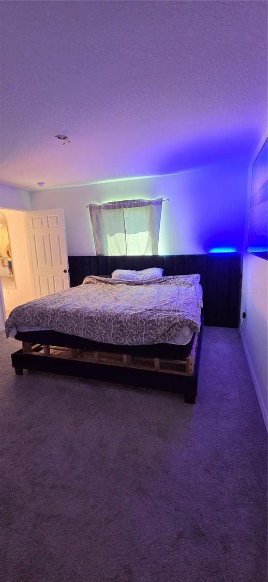Primary Bedroom - 558 TASCO AVE SW, PALM BAY