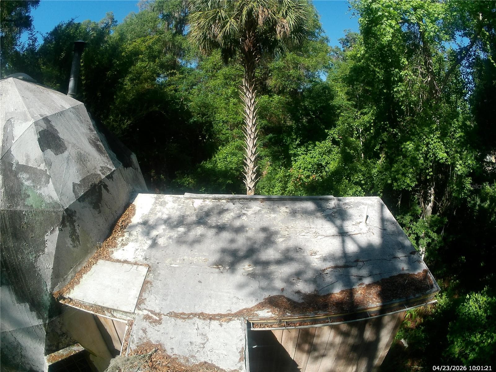 Farm at 2424 NE 170TH ST, CITRA, photo 11 of 67