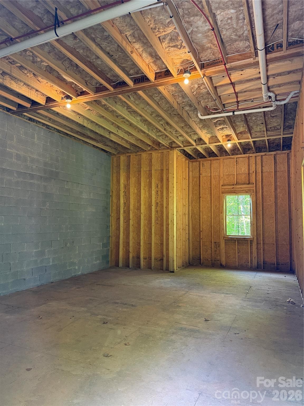 Huge Storage Space in basement - 404 High Ridge Drive, Mills River