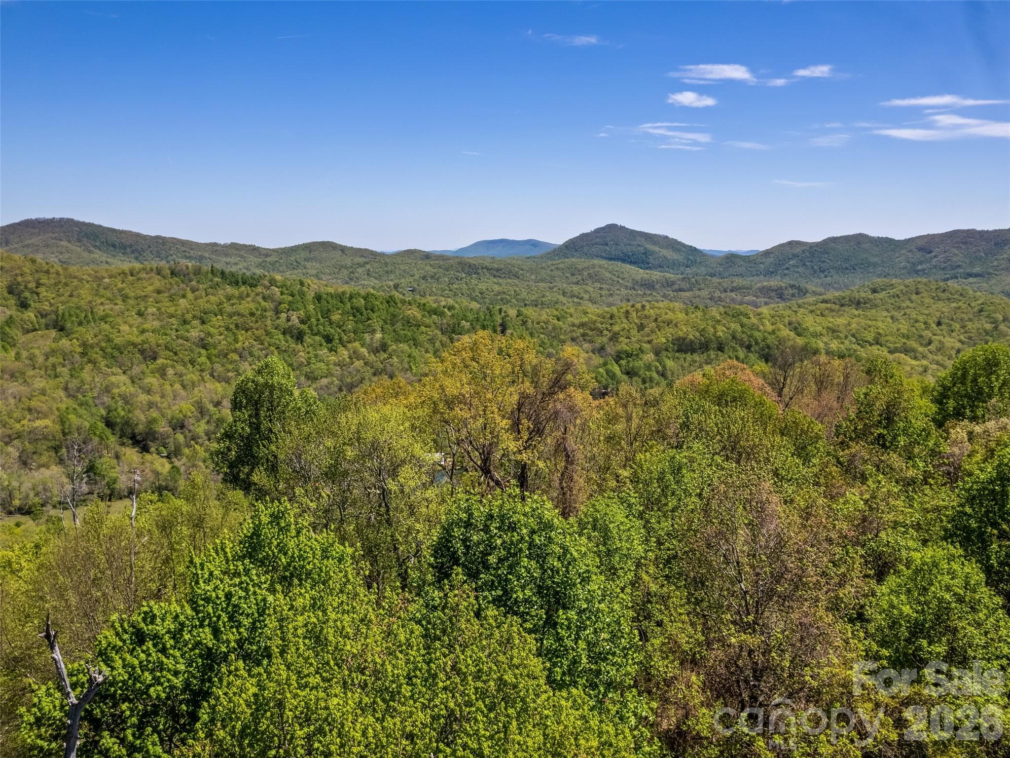Acreage at Black Mountain, photo 20 of 45