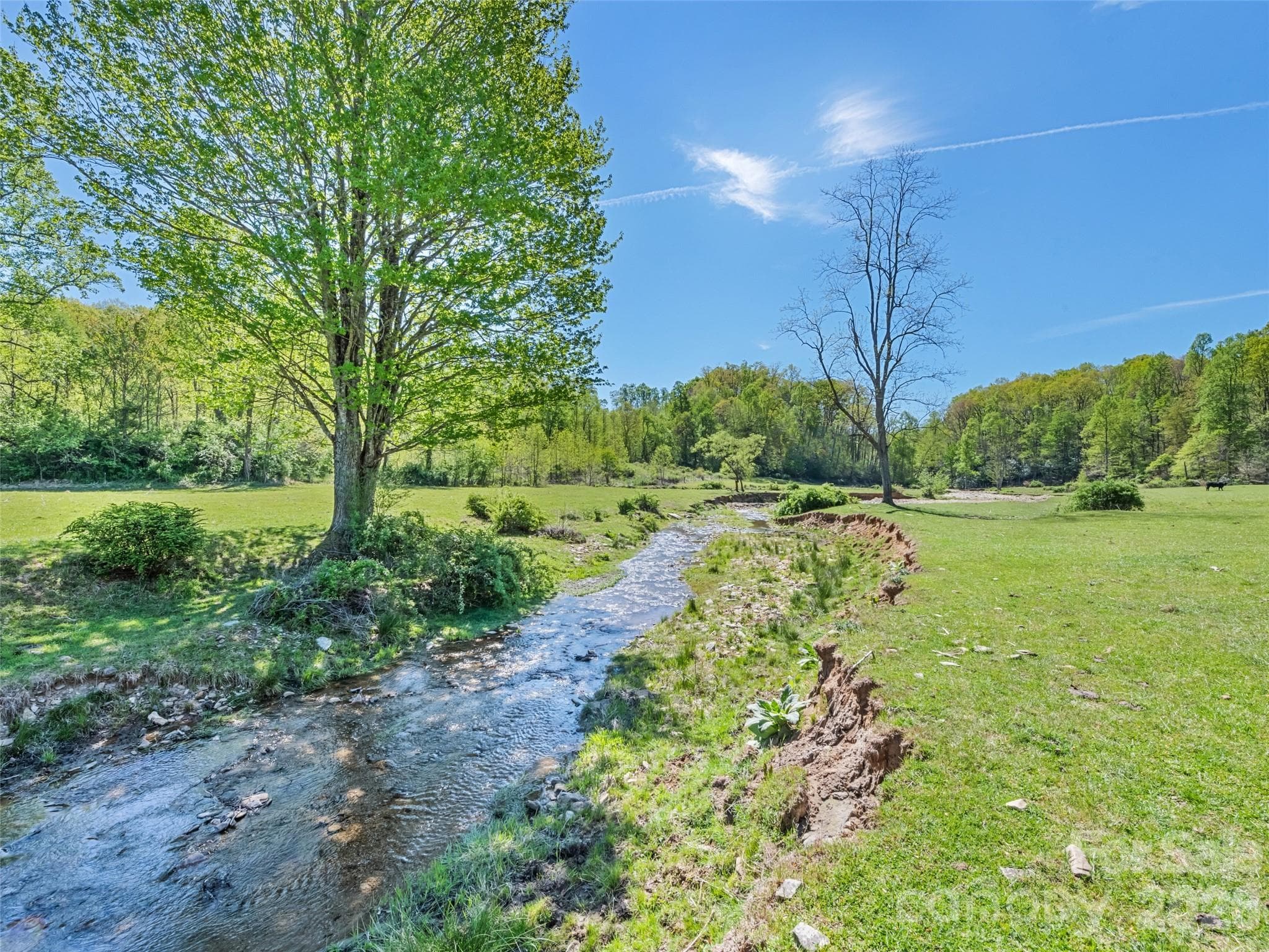 Acreage at Black Mountain, photo 29 of 45