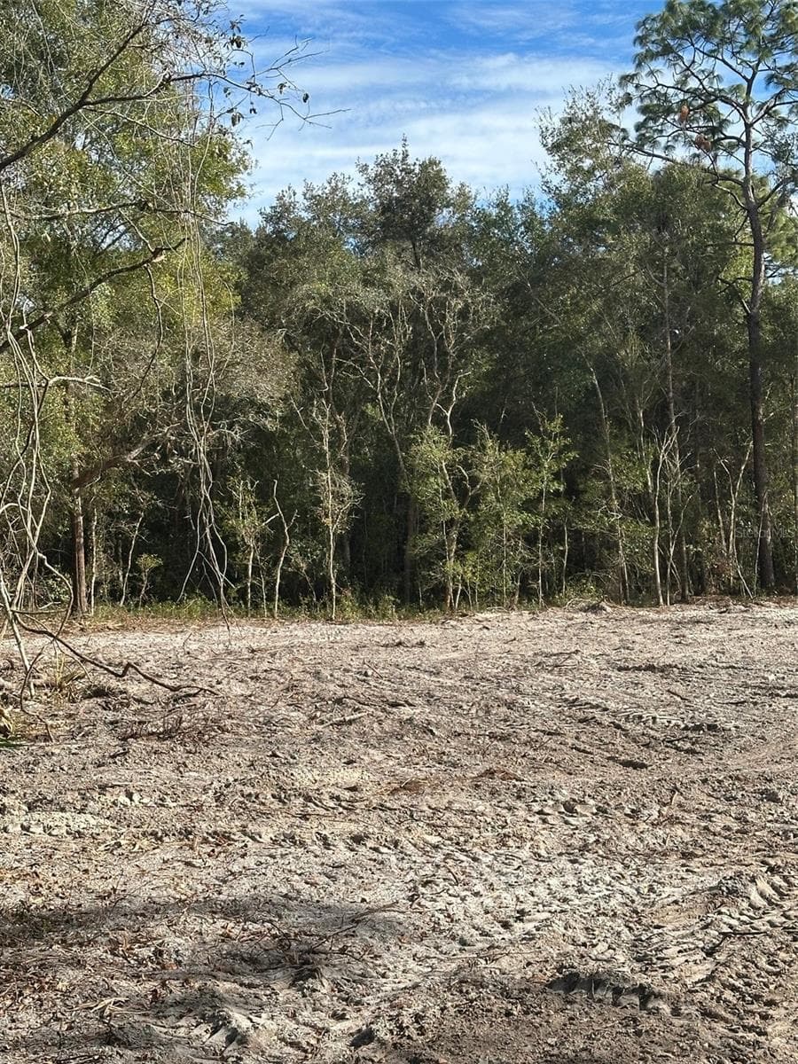 Land at BERRYHILL DR, WEBSTER, photo 4 of 5