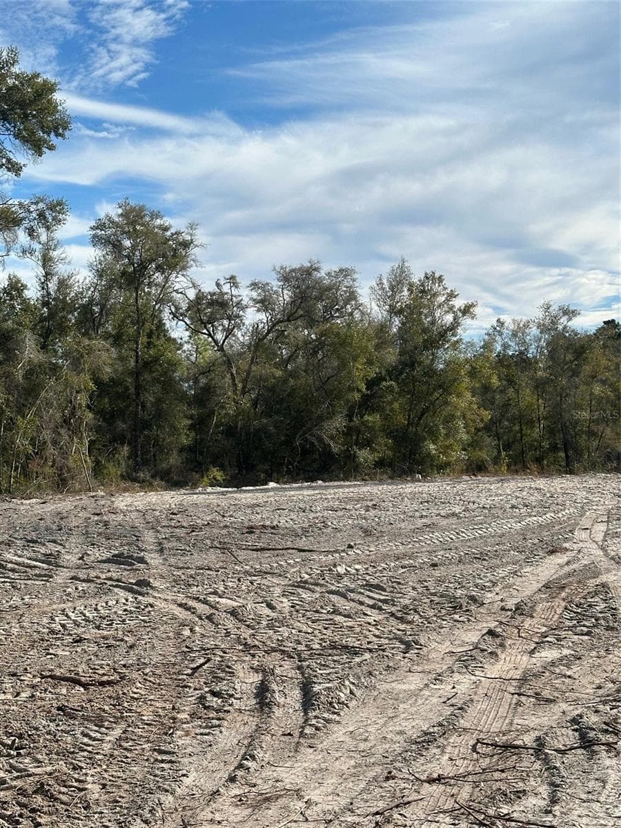 Land at BERRYHILL DR, WEBSTER, photo 3 of 5