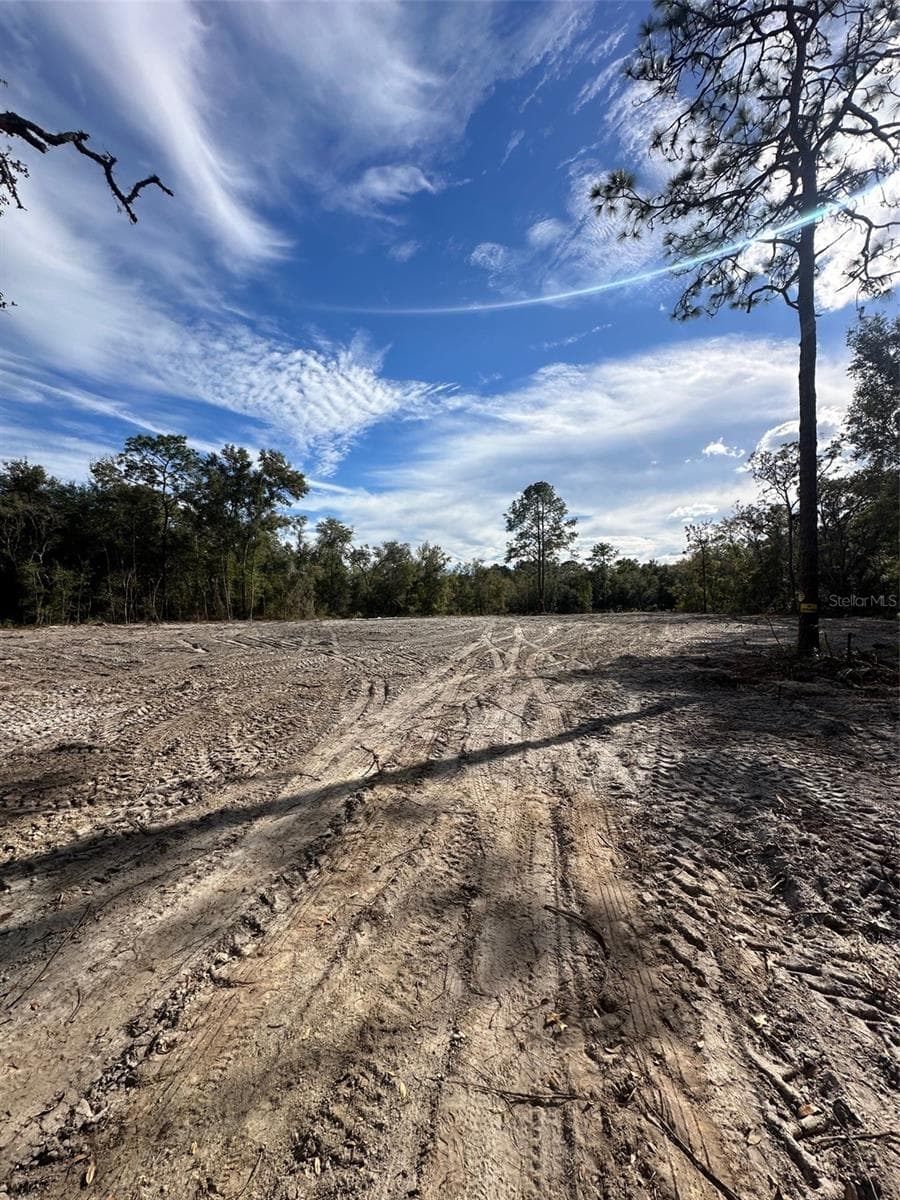 Land at BERRYHILL DR, WEBSTER, photo 5 of 5