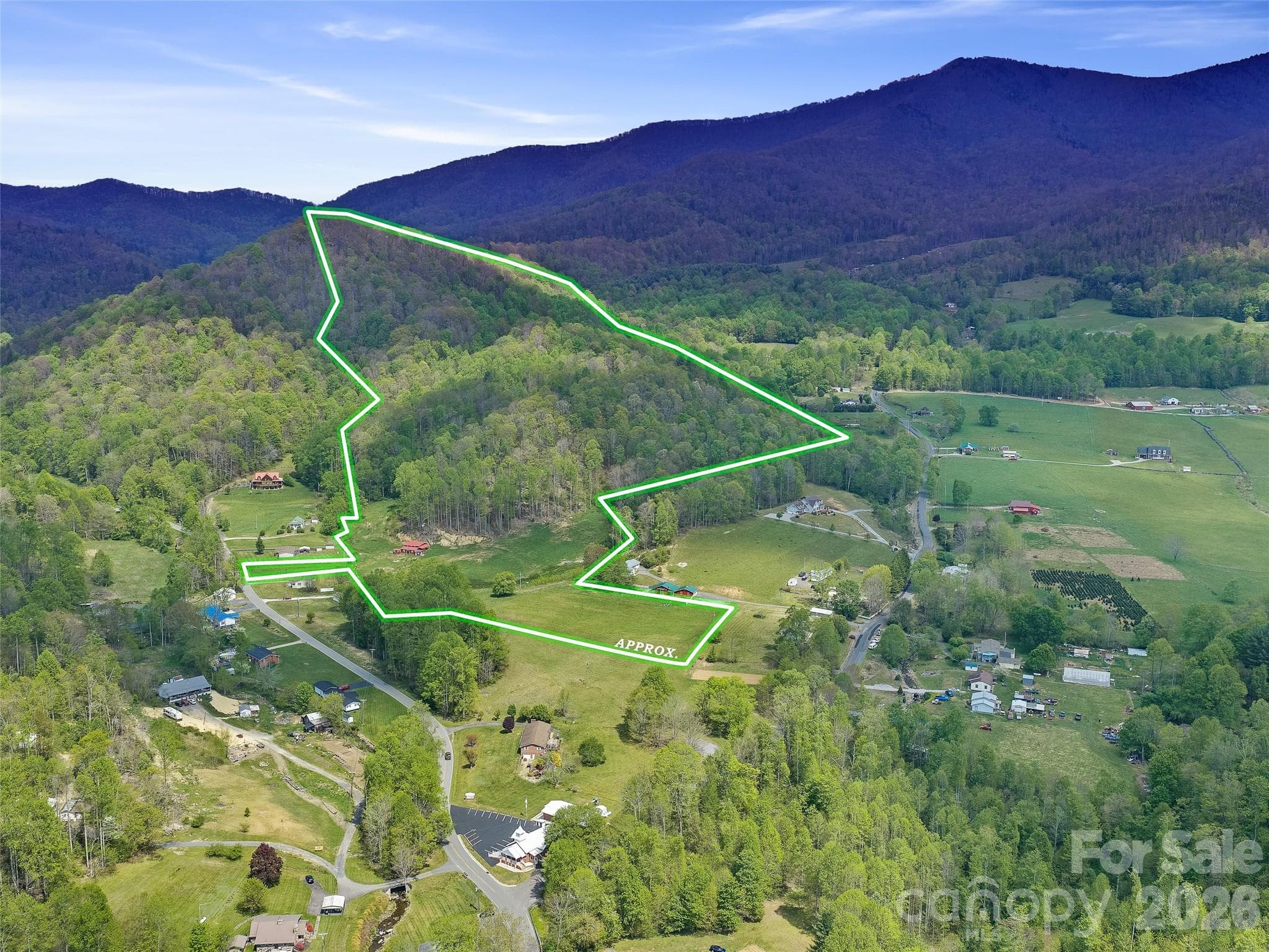 Acreage at 0 Odoms Chapel Road, Bakersville, photo 6 of 23