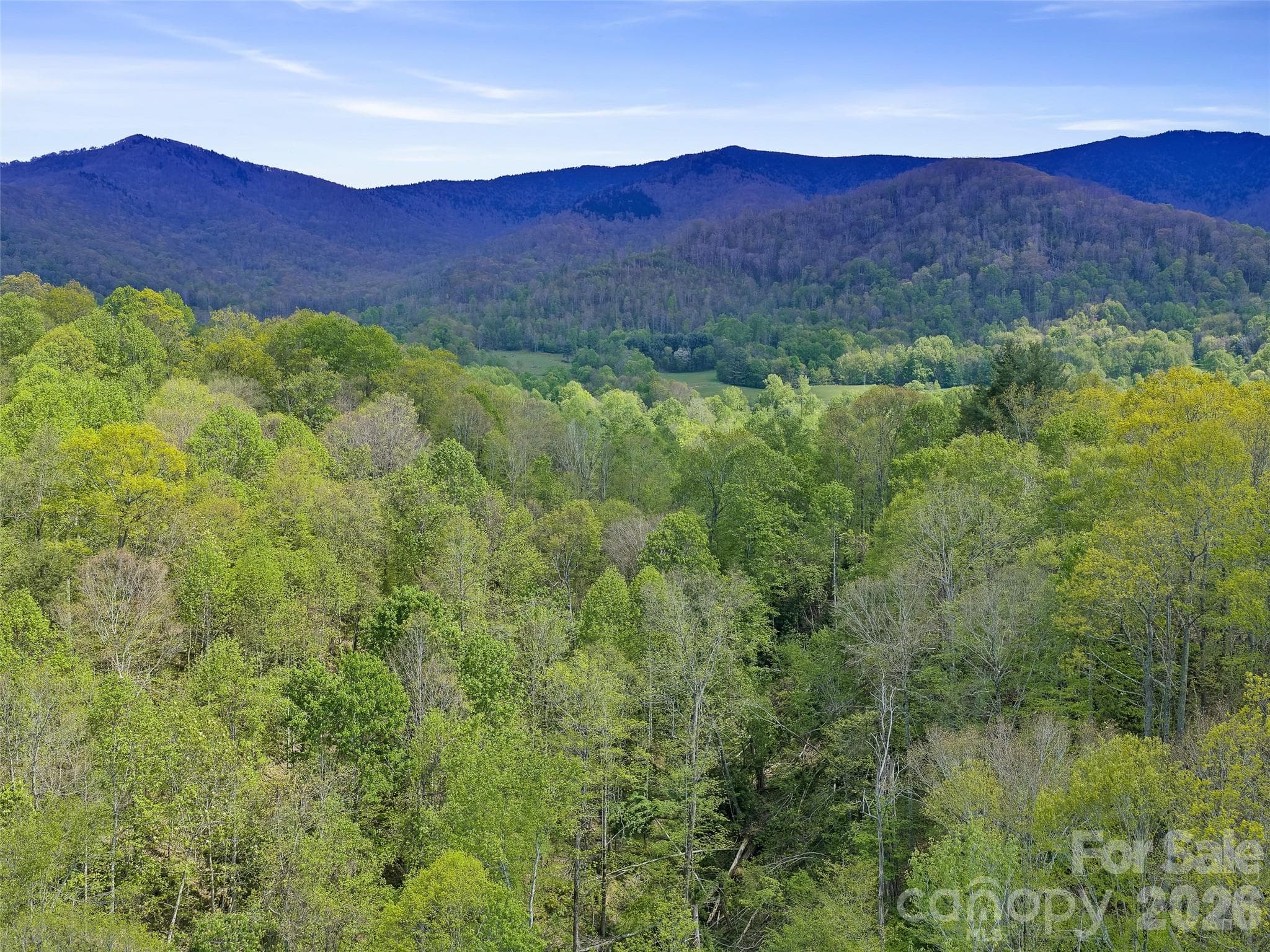 Acreage at 0 Odoms Chapel Road, Bakersville, photo 14 of 23