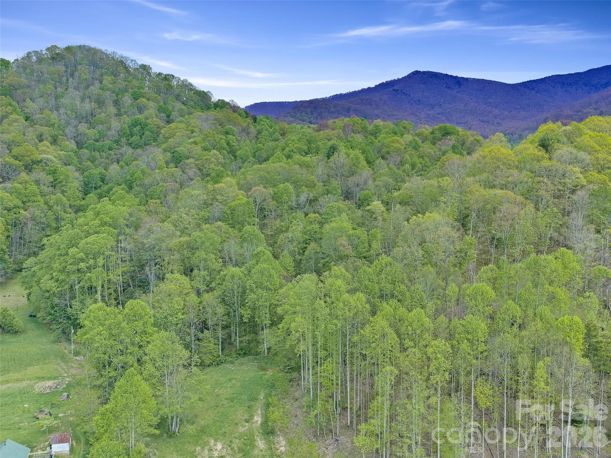 Acreage at 0 Odoms Chapel Road, Bakersville, photo 17 of 23