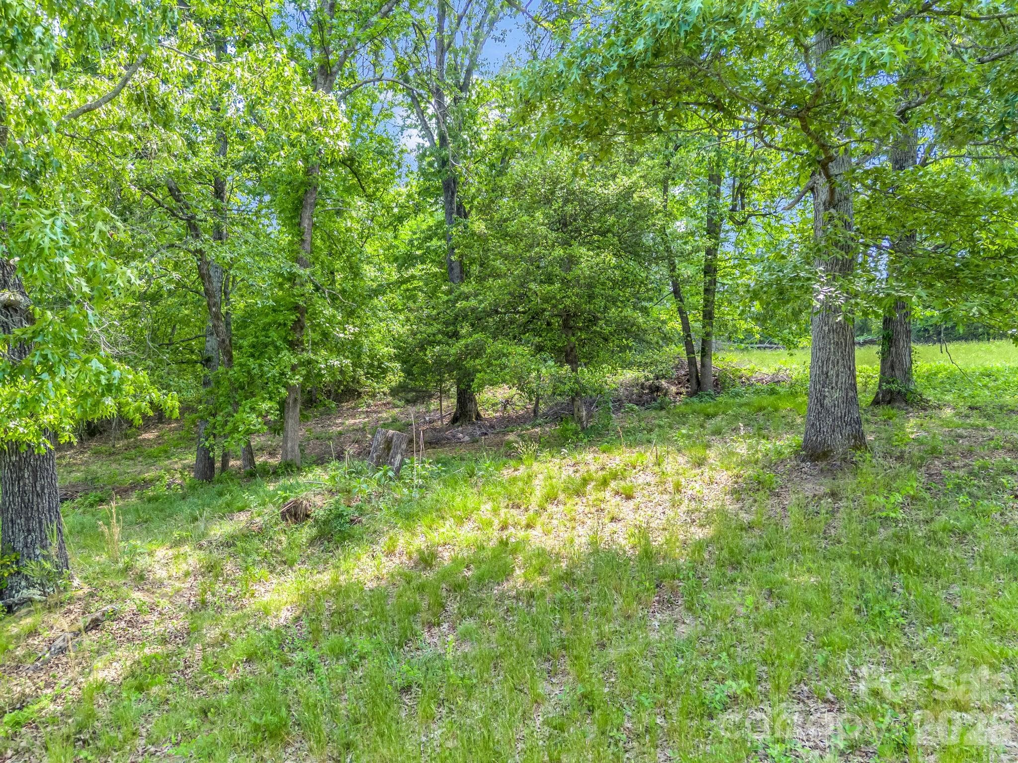 Acreage at 00 Smith Grove Road, Forest City, photo 6 of 20
