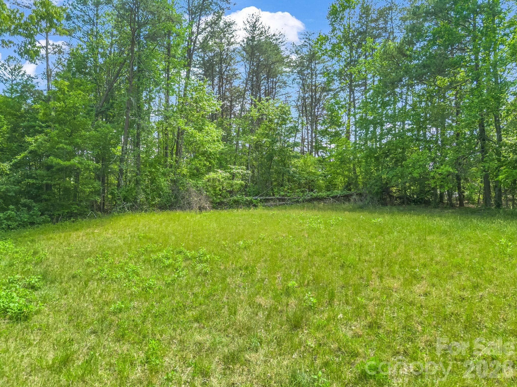 Acreage at 00 Smith Grove Road, Forest City, photo 7 of 20