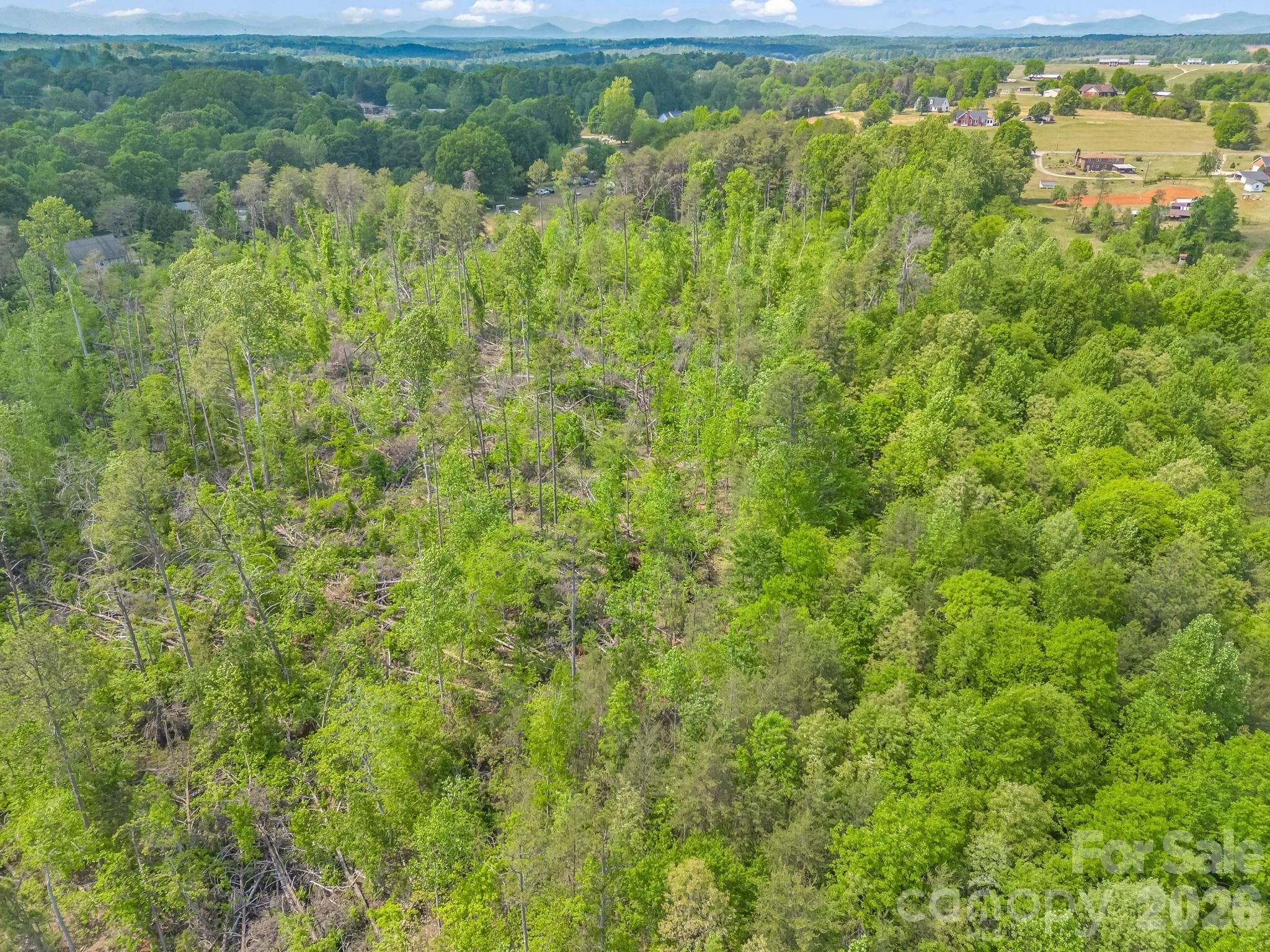 Acreage at 00 Smith Grove Road, Forest City, photo 15 of 20