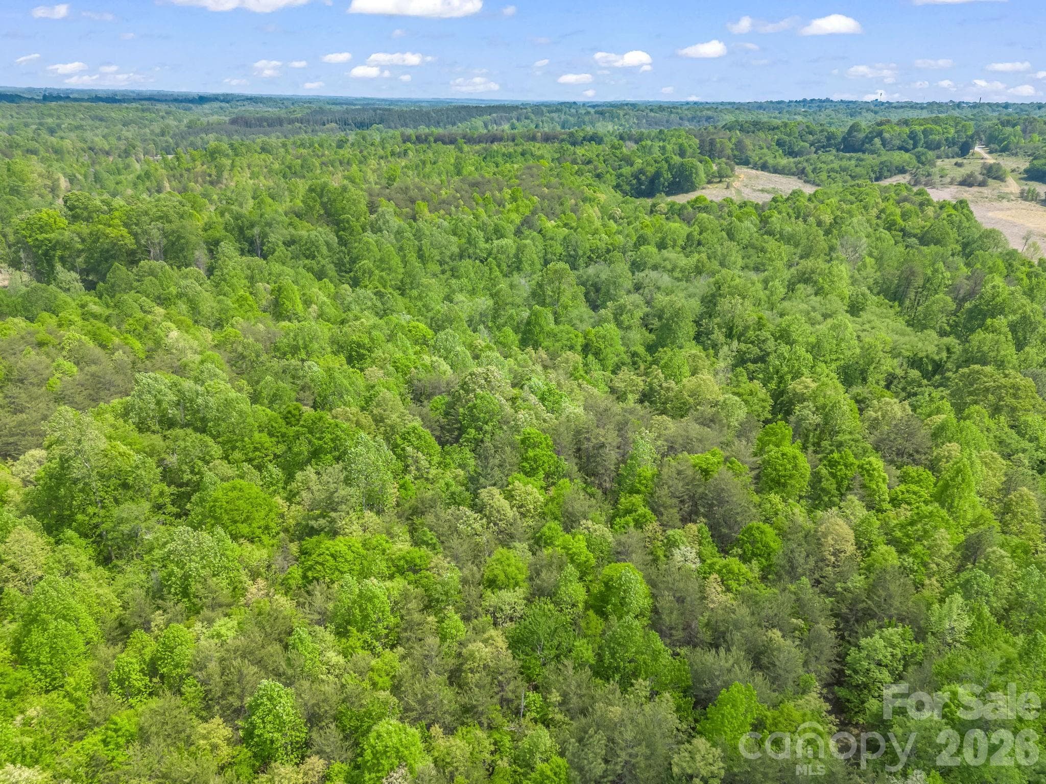 Acreage at 00 Smith Grove Road, Forest City, photo 16 of 20