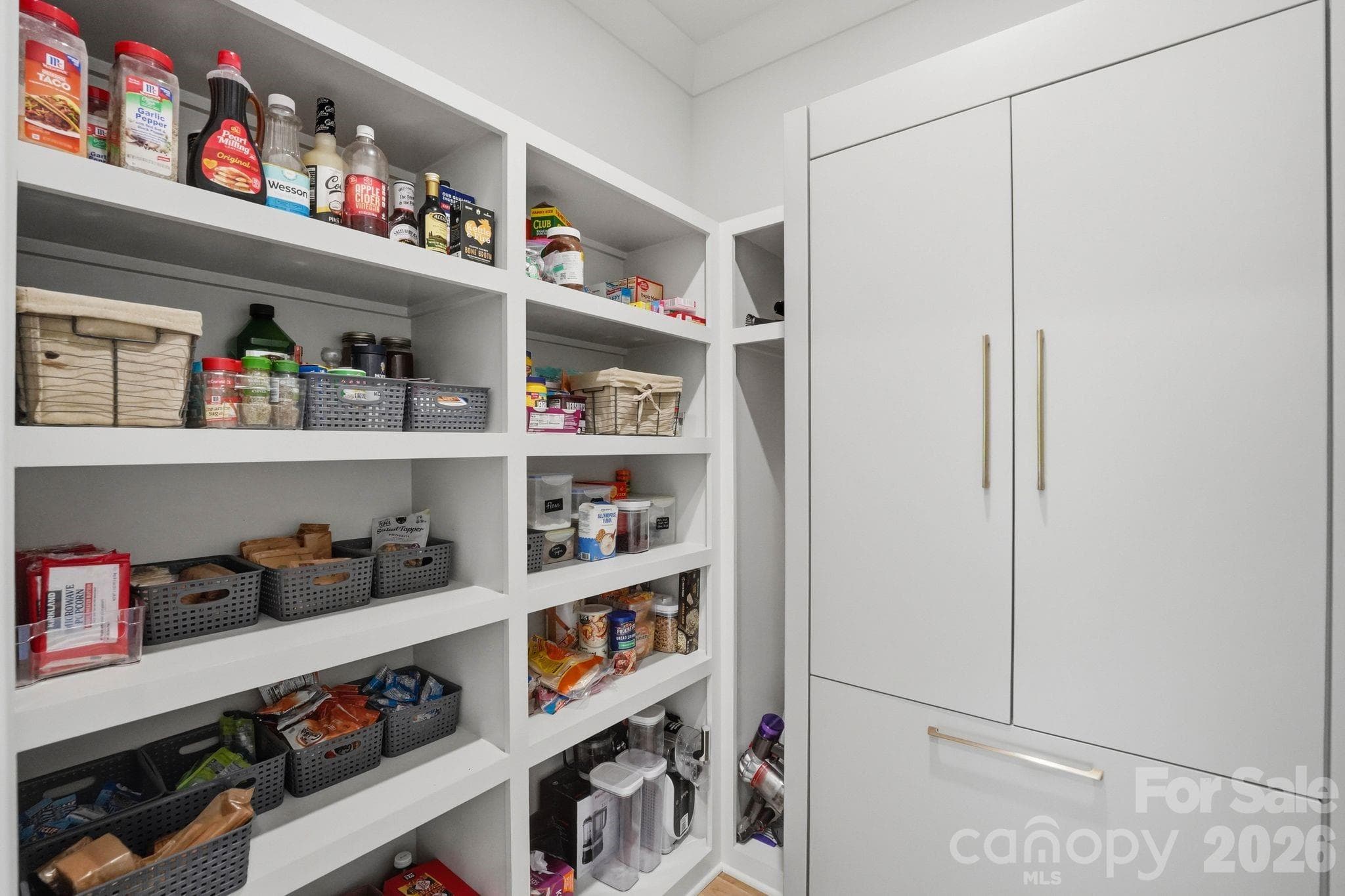 Walk in pantry with built in refrigerator/freezer - Charlotte