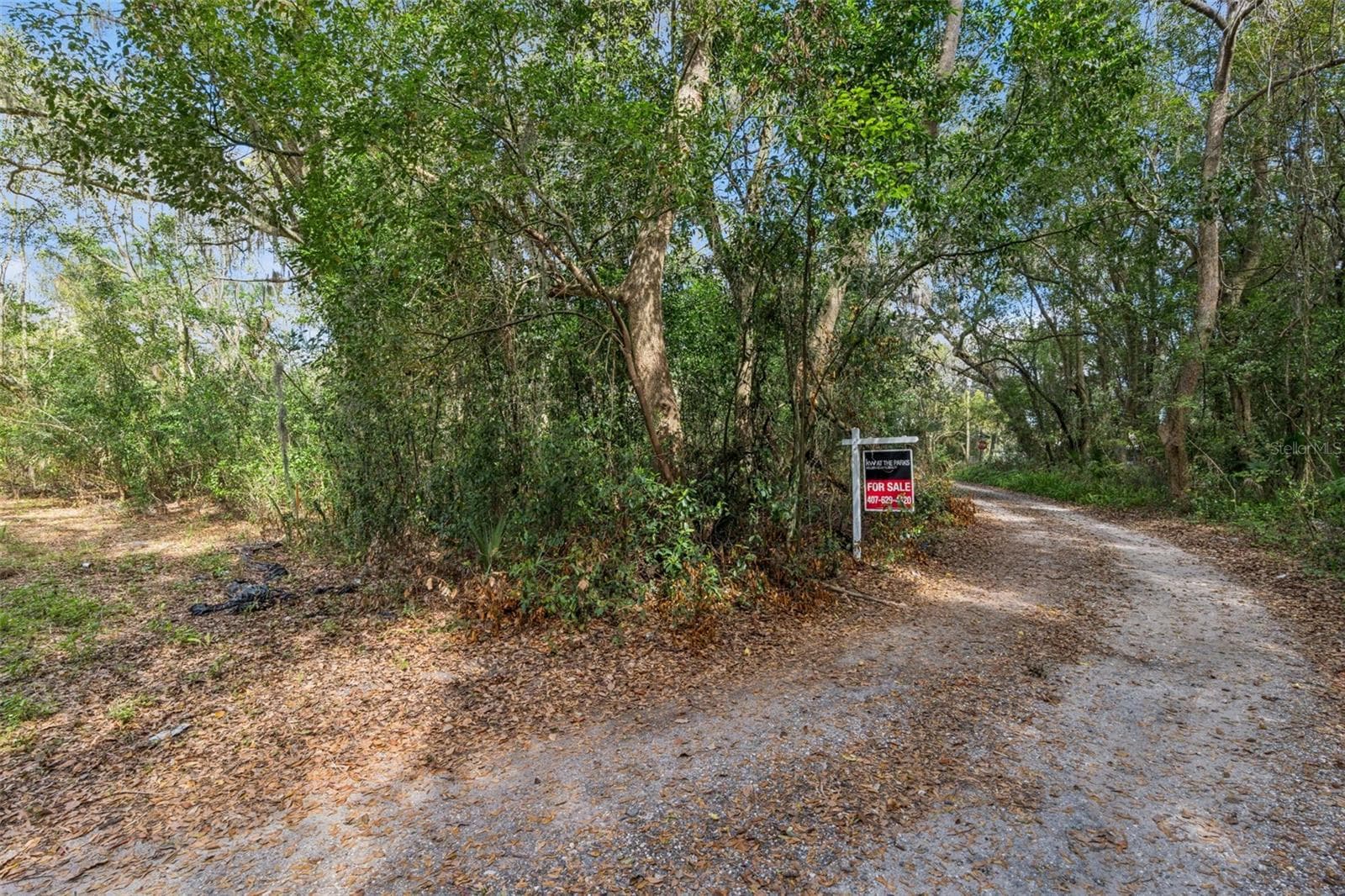 Land at MECHANIC ST, MAITLAND, photo 2 of 12