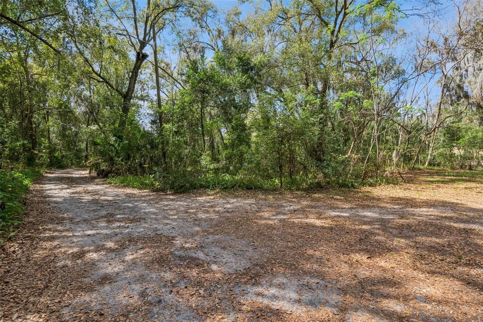 Land at MECHANIC ST, MAITLAND, photo 4 of 12