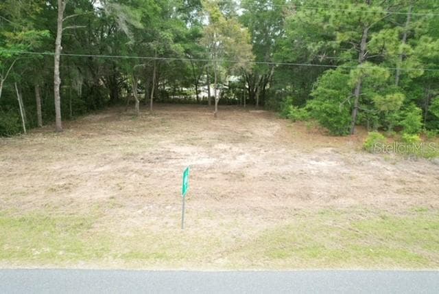 Land at TBD SW BEACH BLVD, DUNNELLON, photo 3 of 12
