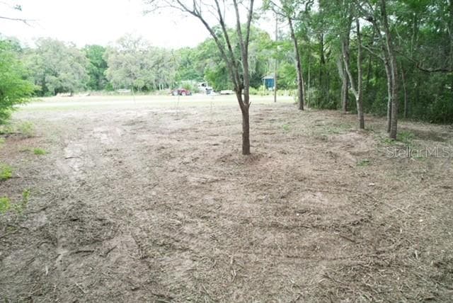 Land at TBD SW BEACH BLVD, DUNNELLON, photo 4 of 12
