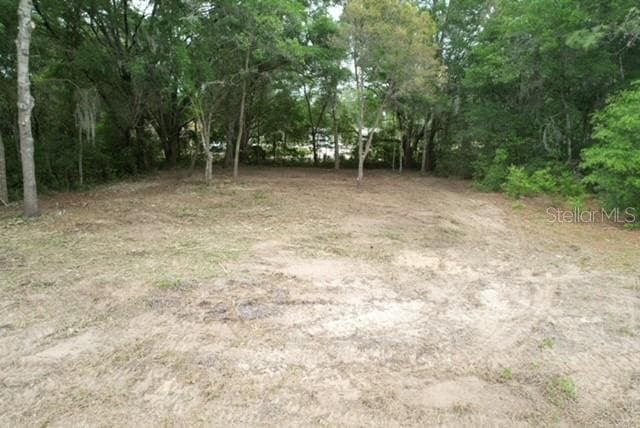 Land at TBD SW BEACH BLVD, DUNNELLON, photo 5 of 12